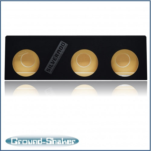 GS-WCHV310B
